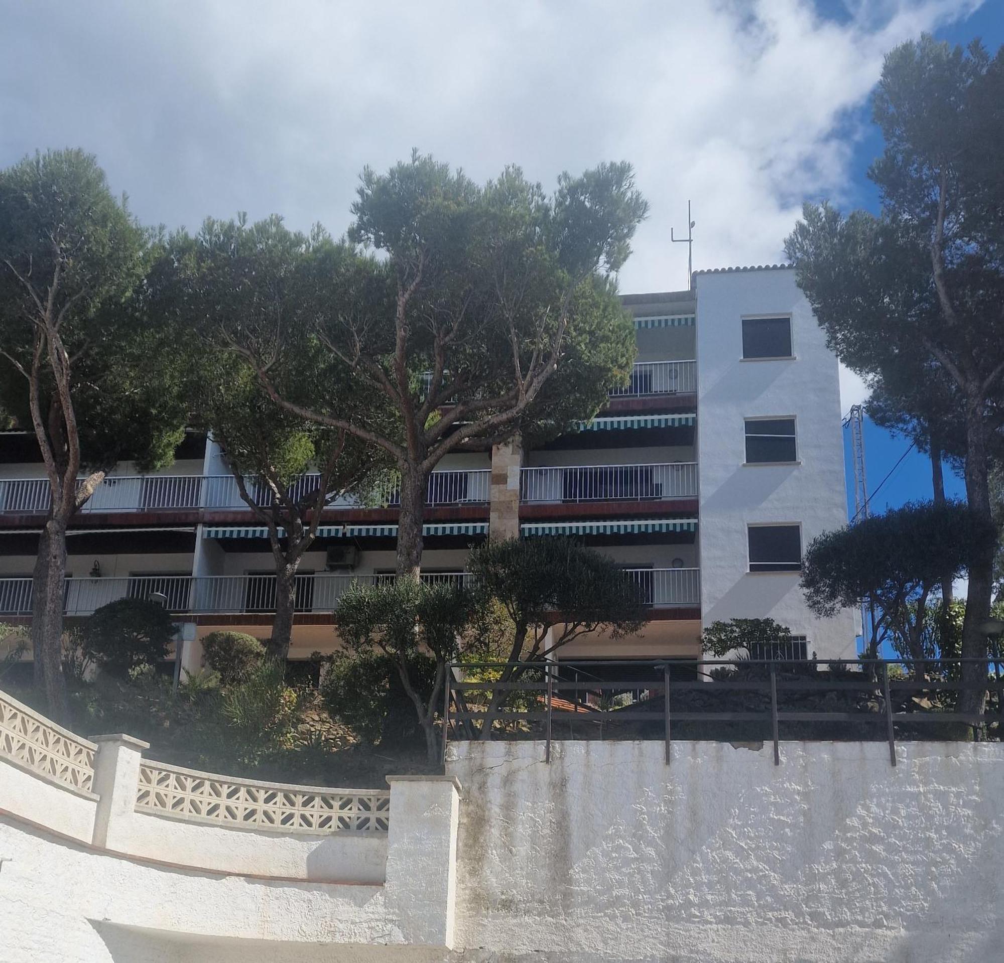 Bernie Roses Exterior foto